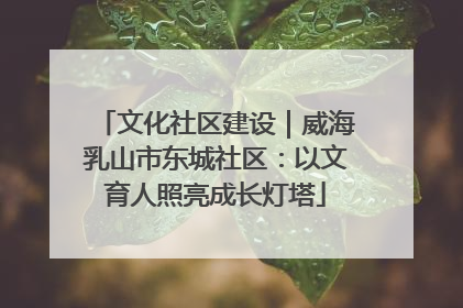 文化社区建设｜威海乳山市东城社区：以文育人照亮成长灯塔