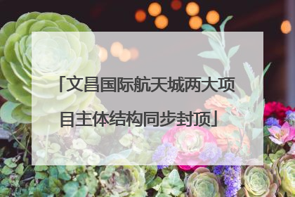 文昌国际航天城两大项目主体结构同步封顶
