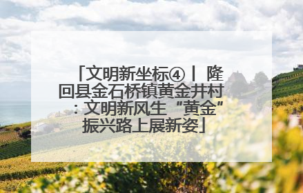 文明新坐标④丨 隆回县金石桥镇黄金井村：文明新风生“黄金” 振兴路上展新姿