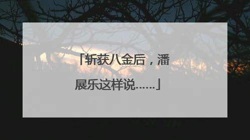 斩获八金后，潘展乐这样说……