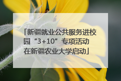 新疆就业公共服务进校园“3+10”专项活动在新疆农业大学启动