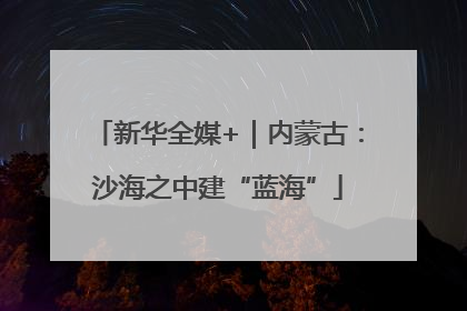 新华全媒+｜内蒙古：沙海之中建“蓝海”
