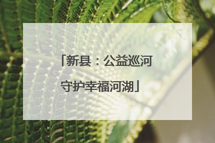 新县：公益巡河守护幸福河湖