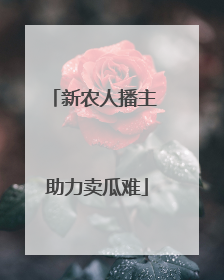 新农人播主 助力卖瓜难