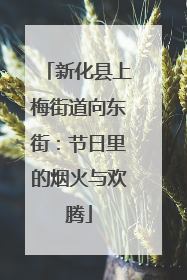 新化县上梅街道向东街：节日里的烟火与欢腾