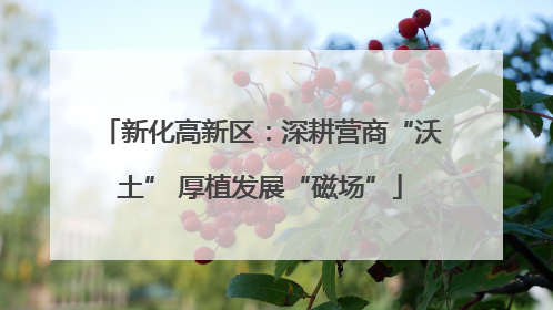 新化高新区：深耕营商“沃土” 厚植发展“磁场”