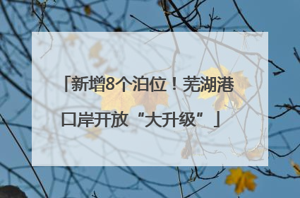 新增8个泊位！芜湖港口岸开放“大升级”