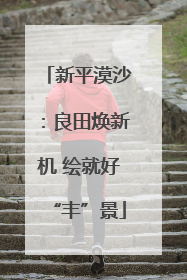 新平漠沙：良田焕新机 绘就好“丰”景