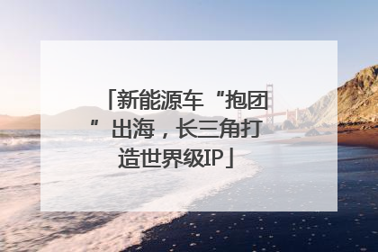 新能源车“抱团”出海，长三角打造世界级IP