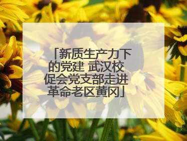 新质生产力下的党建 武汉校促会党支部走进革命老区黄冈