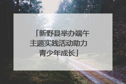 新野县举办端午主题实践活动助力青少年成长