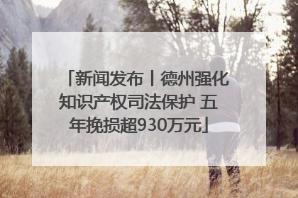 新闻发布丨德州强化知识产权司法保护 五年挽损超930万元
