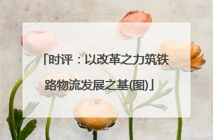 时评：以改革之力筑铁路物流发展之基(图)