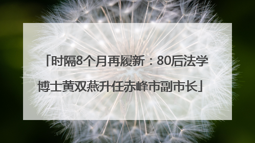 时隔8个月再履新：80后法学博士黄双燕升任赤峰市副市长