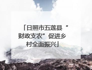 日照市五莲县“财政支农”促进乡村全面振兴