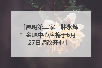 昆明第二家“胖永辉”金地中心店将于6月27日调改开业