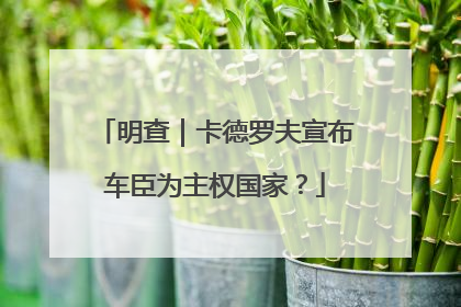 明查｜卡德罗夫宣布车臣为主权国家？