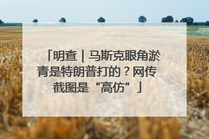 明查｜马斯克眼角淤青是特朗普打的？网传截图是“高仿”