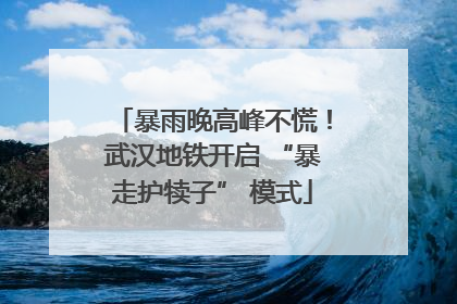 暴雨晚高峰不慌！武汉地铁开启 “暴走护犊子” 模式