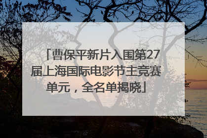 曹保平新片入围第27届上海国际电影节主竞赛单元，全名单揭晓
