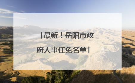最新！岳阳市政府人事任免名单