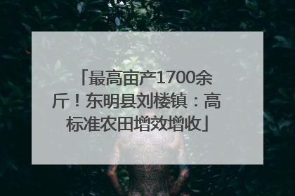 最高亩产1700余斤！东明县刘楼镇：高标准农田增效增收