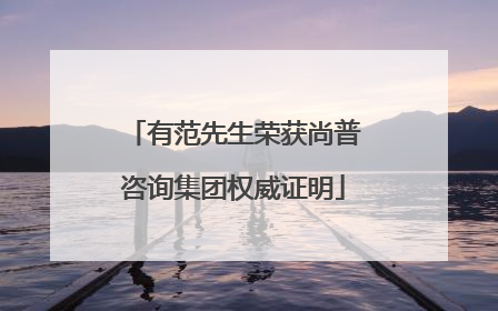 有范先生荣获尚普咨询集团权威证明