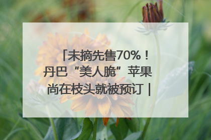 未摘先售70%！丹巴“美人脆”苹果尚在枝头就被预订｜长征路上看四川