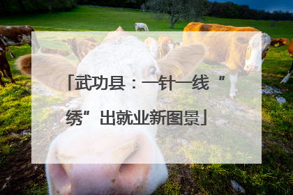 武功县：一针一线“绣”出就业新图景