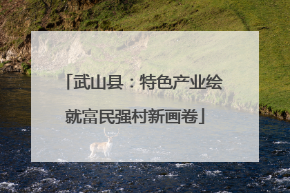 武山县：特色产业绘就富民强村新画卷