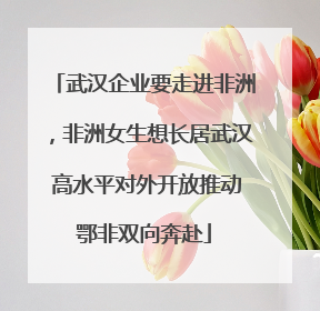 武汉企业要走进非洲，非洲女生想长居武汉 高水平对外开放推动鄂非双向奔赴