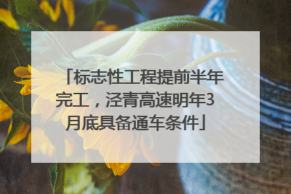 标志性工程提前半年完工，泾青高速明年3月底具备通车条件