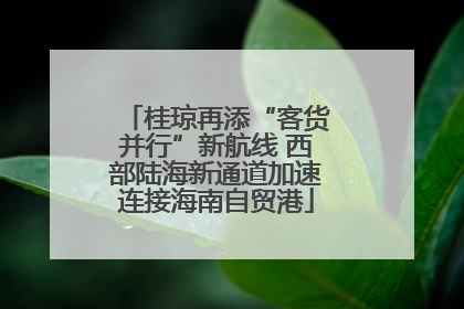 桂琼再添“客货并行”新航线 西部陆海新通道加速连接海南自贸港