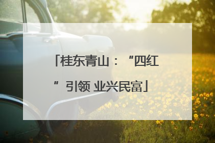 桂东青山：“四红”引领 业兴民富