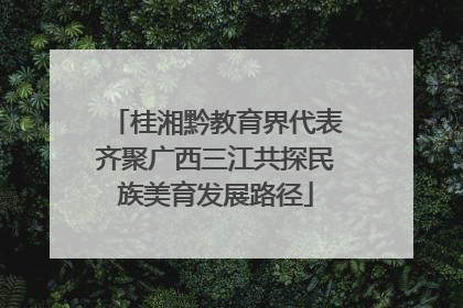 桂湘黔教育界代表齐聚广西三江共探民族美育发展路径