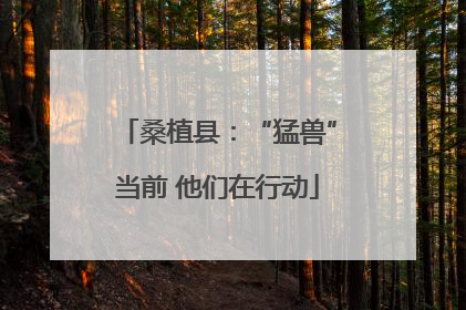 桑植县：“猛兽”当前 他们在行动