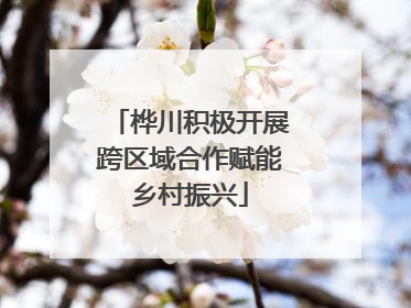 桦川积极开展跨区域合作赋能乡村振兴