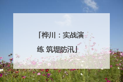桦川：实战演练 筑堤防汛