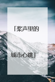 桨声里的城市心跳