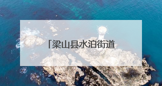 梁山县水泊街道为民服务中心开展惠民政策宣传