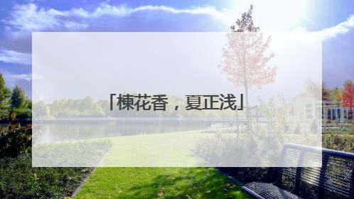 楝花香，夏正浅
