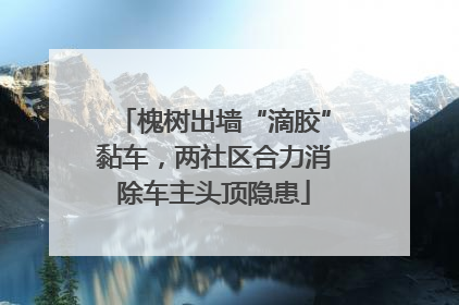 槐树出墙“滴胶”黏车，两社区合力消除车主头顶隐患