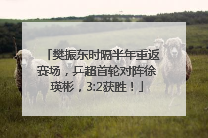 樊振东时隔半年重返赛场，乒超首轮对阵徐瑛彬，3:2获胜！