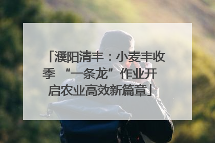 濮阳清丰：小麦丰收季 “一条龙”作业开启农业高效新篇章