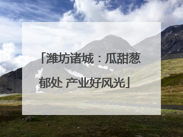 潍坊诸城：瓜甜葱郁处 产业好风光