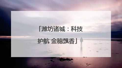 潍坊诸城：科技护航 金穗飘香