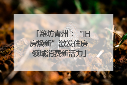 潍坊青州：“旧房焕新”激发住房领域消费新活力
