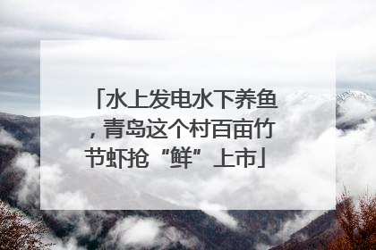 水上发电水下养鱼，青岛这个村百亩竹节虾抢“鲜”上市
