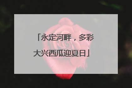 永定河畔，多彩大兴西瓜迎夏日