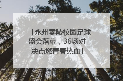 永州零陵校园足球盛会落幕，36场对决点燃青春热血